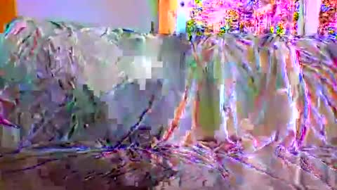 Snapshot of danwick69 chatting on 09/17/25, 11:45 danwick69 online show from 09/17/25, 11:45