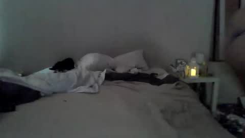 Snapshot of danysissyqos chatting on 05/24/26, 04:56 danybowl4men online show from 05/24/26, 04:56