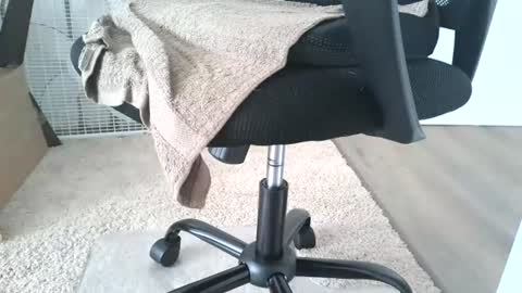 dapppper online show from 06/13/26, 12:14