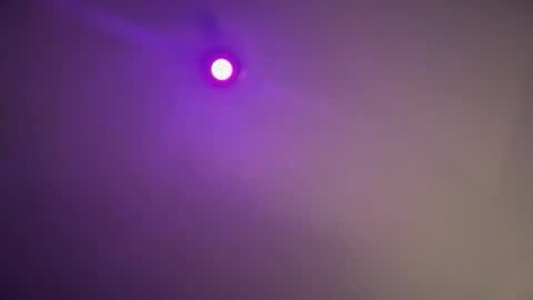 daquim online show from 11/12/25, 11:14