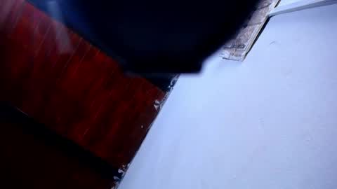 DARA online show from 04/12/26, 10:04