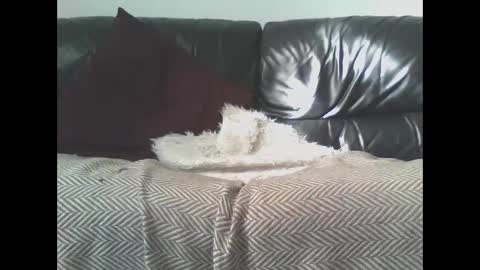 DaRealDonDaddy online show from 03/09/25, 11:58