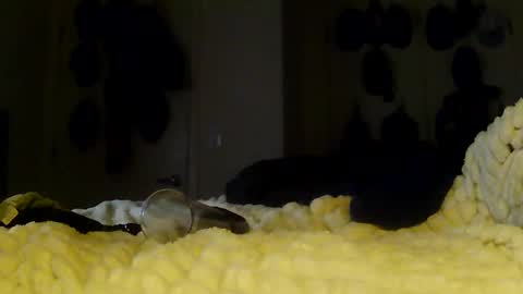 Betty and Robert Play time online show from 01/13/26, 06:08