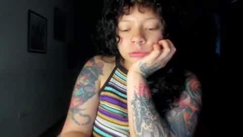 miau online show from 01/06/26, 10:01