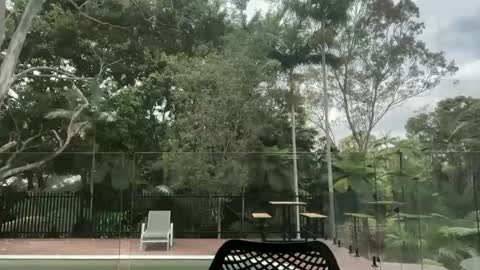 dartanian0001 online show from 10/01/25, 12:38