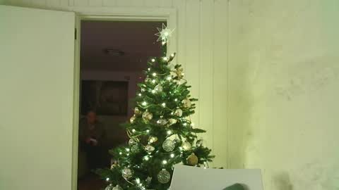 Dario online show from 01/03/25, 04:06