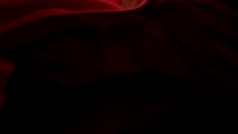 dasquirtmaster online show from 03/27/26, 10:48