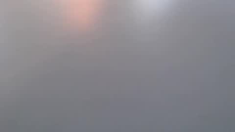 davdao3 online show from 03/19/26, 07:01