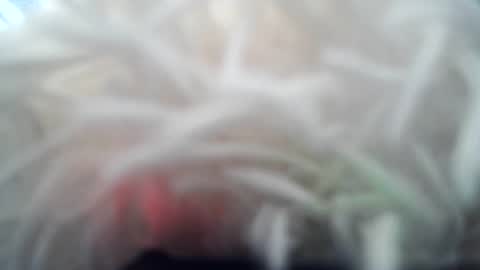 daverz3 online show from 03/04/26, 08:42