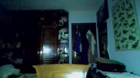 david33333333 online show from 03/09/25, 04:33
