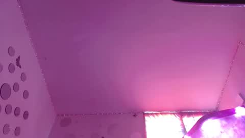 David Fox online show from 11/12/25, 07:13