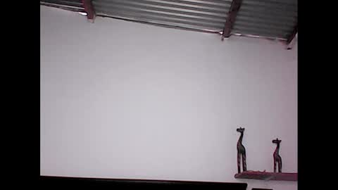 Snapshot of david_stuart07 chatting on 01/20/25, 08:50 davidstuart online show from 01/20/25, 08:50