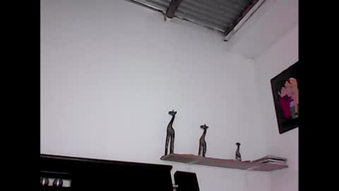 Snapshot of david_stuart07 chatting on 01/23/25, 07:07 davidstuart online show from 01/23/25, 07:07