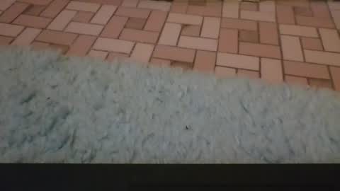 David online show from 04/03/26, 04:05