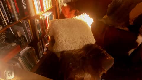 David online show from 01/15/25, 11:10