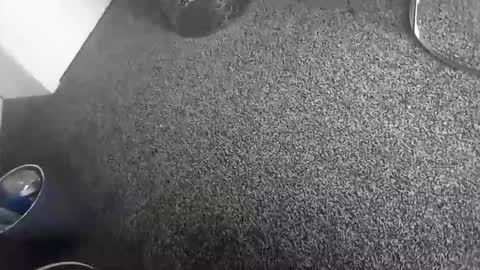 Snapshot of davidf75 chatting on 11/17/25, 10:43 davidf75 online show from 11/17/25, 10:43