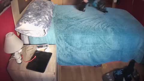 Hugo online show from 02/20/25, 11:09