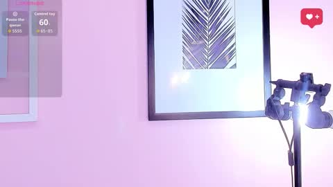 Dayan  online show from 12/20/25, 07:21