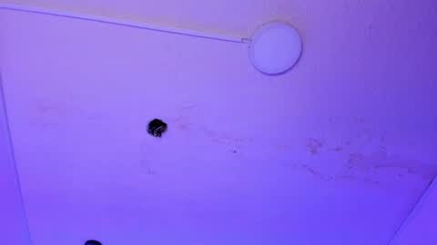 dayana_harlow2 online show from 01/15/25, 10:13