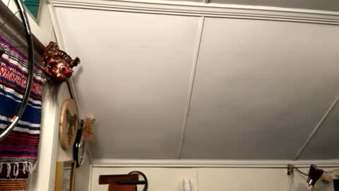 dayblue online show from 06/06/26, 04:28
