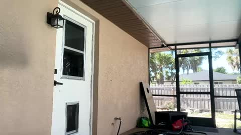 Dazey online show from 04/21/26, 08:23