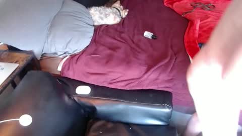 DCTeamFucker online show from 04/17/26, 05:49