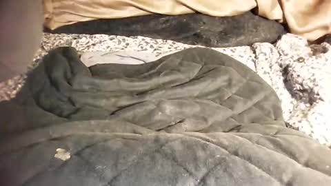 ddick0303 online show from 03/06/26, 12:01