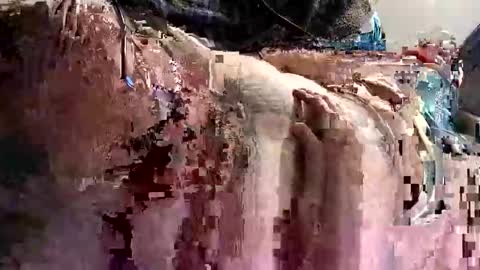 Snapshot of decoyx5o5 chatting on 01/09/25, 01:18 decoyx5o5 online show from 01/09/25, 01:18