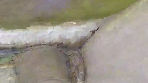 Dive Deep online show from 11/02/25, 02:08