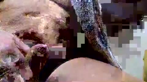 Dive Deep online show from 12/15/25, 06:45