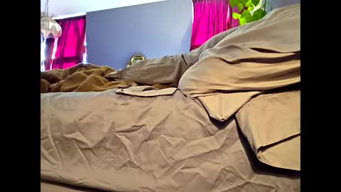 definitelymasterbating online show from 03/17/26, 02:42