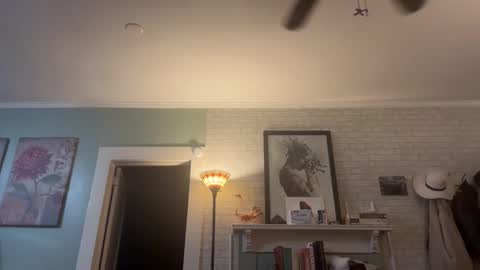 Tori online show from 12/14/25, 05:13