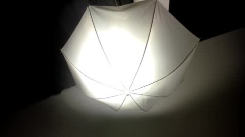 DEIVY online show from 02/14/25, 08:31