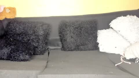 deli_la online show from 03/28/26, 09:03