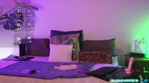 Kitty online show from 04/21/26, 07:17