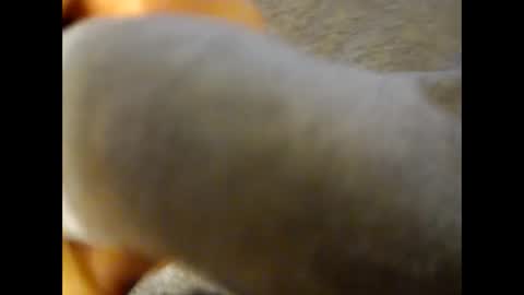 deliv_shopi online show from 11/25/25, 04:18