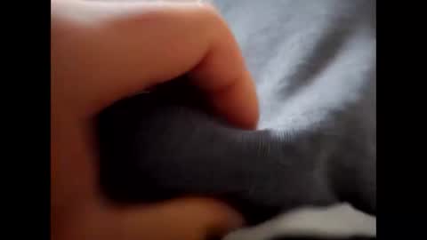 deliv_shopi online show from 12/01/25, 09:47