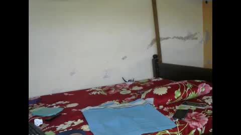 Ginger online show from 03/03/25, 03:52