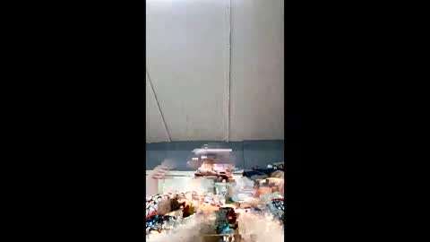 demonseed9325 online show from 05/06/26, 04:08