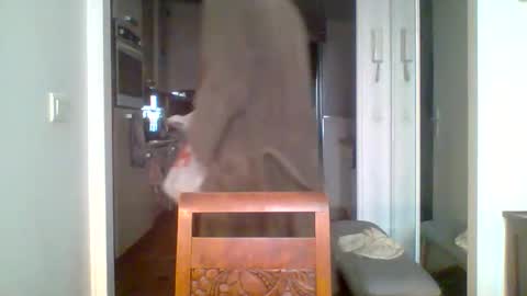 demundu online show from 11/17/25, 01:17