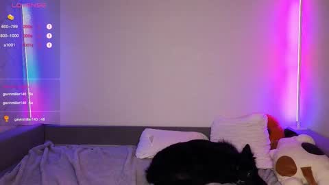 Den online show from 12/04/25, 02:15