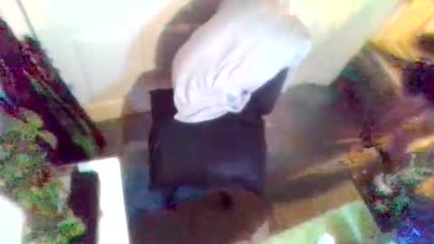 denveversbb online show from 04/03/26, 08:51