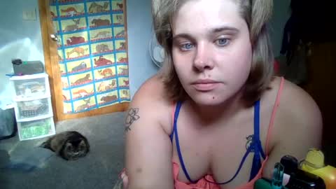 devykitten online show from 07/02/26, 11:00