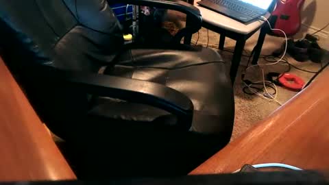 Snapshot of dfwgonewrong chatting on 12/25/24, 03:50 dfwgonewrong online show from 12/25/24, 03:50