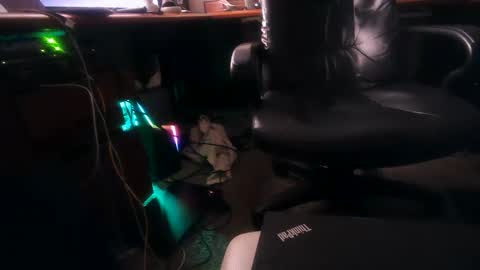 Snapshot of dfwgonewrong chatting on 02/04/25, 10:54 dfwgonewrong online show from 02/04/25, 10:54