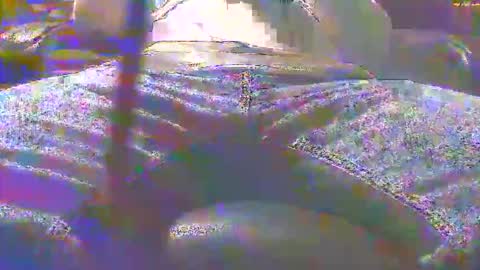 Snapshot of dfwgonewrong chatting on 11/03/25, 04:47 dfwgonewrong online show from 11/03/25, 04:47