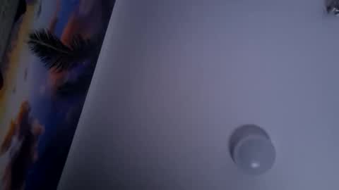 Snapshot of dgesika254182 chatting on 01/28/25, 09:50 dgesika254182 online show from 01/28/25, 09:50