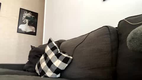 Dhalia online show from 11/03/25, 12:17