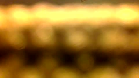 Marcus D-von Steel as the raunchy ass sniffer thrill me with your online show from 04/11/26, 10:41