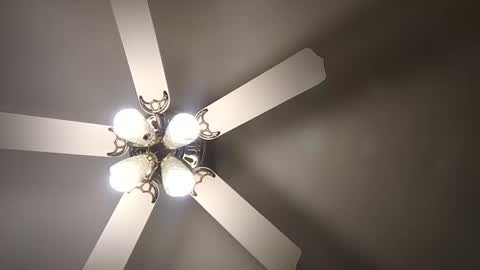 diamonde_steele online show from 12/12/24, 01:53